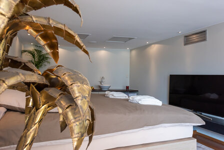 Gezinskamer/Junior Suite &euro;160,00 incl BTW 