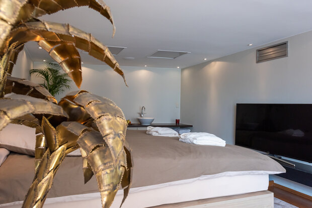 Gezinskamer/Junior Suite €160,00 incl BTW 