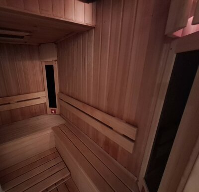 Sauna 1u (€30)